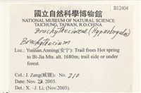 登錄號:B00012404藏品圖，第2張