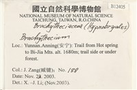 登錄號:B00012405藏品圖，第2張