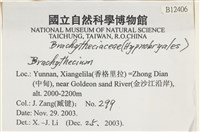 登錄號:B00012406藏品圖，第2張