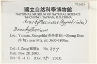 登錄號:B00012407藏品圖，第2張