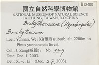 登錄號:B00012408藏品圖，第2張