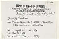 登錄號:B00012409藏品圖，第2張