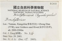 登錄號:B00012410藏品圖，第2張