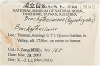 登錄號:B00012412藏品圖，第2張