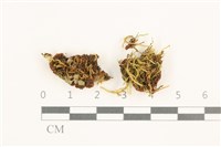 登錄號:B00012412藏品圖，第1張