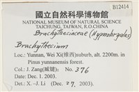 登錄號:B00012414藏品圖，第2張