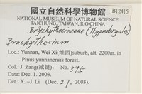 登錄號:B00012415藏品圖，第2張