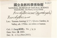 登錄號:B00012417藏品圖，第2張