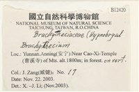 登錄號:B00012420藏品圖，第2張