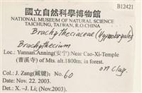 登錄號:B00012421藏品圖，第2張