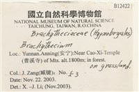 登錄號:B00012422藏品圖，第2張