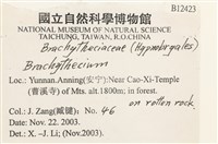 登錄號:B00012423藏品圖，第2張