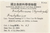 登錄號:B00012424藏品圖，第2張