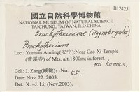 登錄號:B00012425藏品圖，第2張