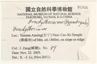 登錄號:B00012426藏品圖，第2張