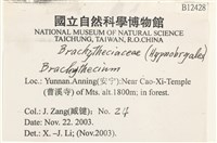 登錄號:B00012428藏品圖，第2張