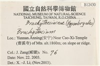 登錄號:B00012430藏品圖，第2張