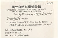 登錄號:B00012431藏品圖，第2張