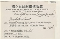 登錄號:B00012432藏品圖，第2張