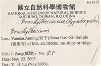 登錄號:B00012435藏品圖，第2張