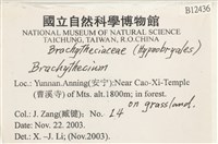 登錄號:B00012436藏品圖，第2張