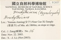 登錄號:B00012437藏品圖，第2張