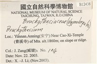 登錄號:B00012438藏品圖，第2張