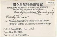 登錄號:B00012439藏品圖，第2張