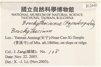 登錄號:B00012440藏品圖，第2張