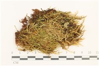 登錄號:B00012440藏品圖，第1張