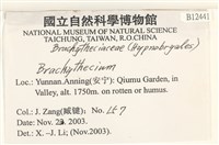 登錄號:B00012441藏品圖，第2張