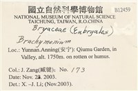 登錄號:B00012459藏品圖，第2張