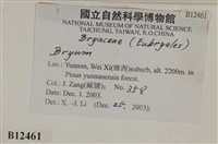 登錄號:B00012461藏品圖，第2張