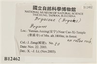 登錄號:B00012462藏品圖，第2張