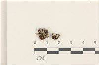 登錄號:B00012462藏品圖，第1張