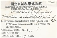 登錄號:B00012465藏品圖，第2張