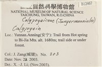 登錄號:B00012467藏品圖，第2張