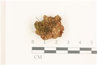 登錄號:B00012467藏品圖，第1張