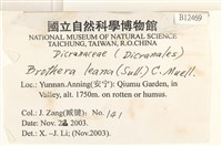 登錄號:B00012469藏品圖，第2張