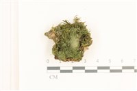 登錄號:B00012469藏品圖，第1張