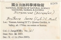 登錄號:B00012470藏品圖，第2張