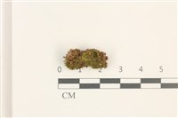 登錄號:B00012470藏品圖，第1張