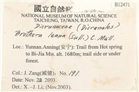 登錄號:B00012471藏品圖，第2張