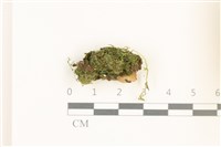登錄號:B00012471藏品圖，第1張