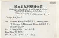 登錄號:B00012472藏品圖，第2張
