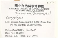 登錄號:B00012475藏品圖，第2張