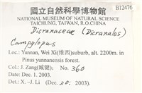 登錄號:B00012476藏品圖，第2張