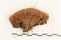 登錄號:B00012476藏品圖，第1張