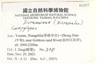 登錄號:B00012477藏品圖，第2張