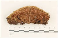 登錄號:B00012477藏品圖，第1張